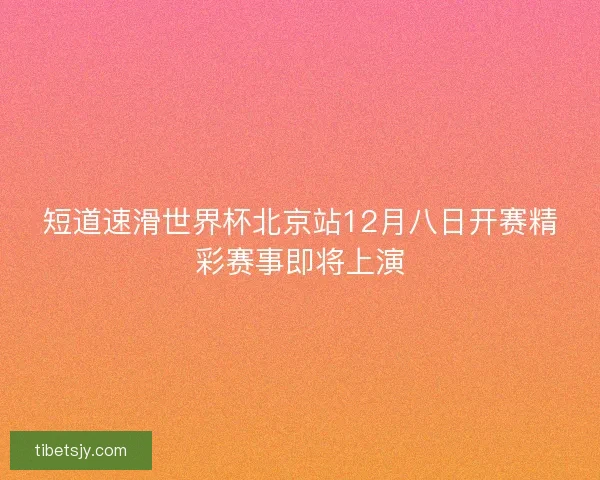 短道速滑世界杯北京站12月八日开赛精彩赛事即将上演 短道速滑世界杯北京站12月八日开赛精彩赛事即将上演