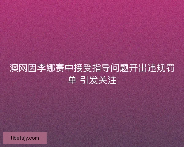澳网因李娜赛中接受指导问题开出违规罚单 引发关注